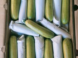 Кабачки оптом Казахстан