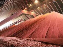 Калий Хлористый potassium chloride