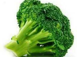 Капуста Брокколи
