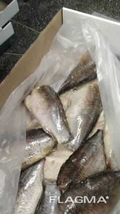 Карась