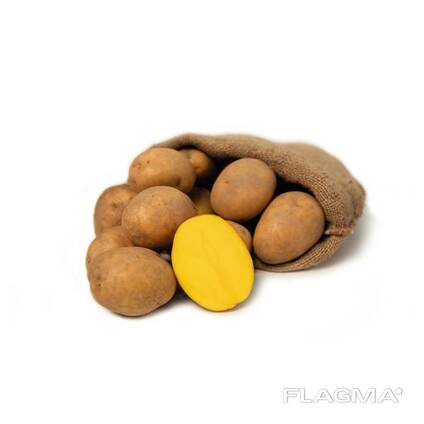 Продам картофель