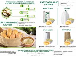 Картофельные хлопья