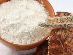 Казахстанская мука "Баракат" от производителя! на экспорт!