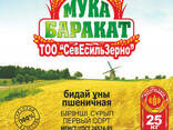 Казахстанская мука "Баракат" от производителя! на экспорт! - фото 2