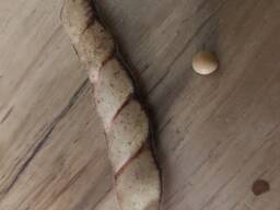 Көгершін бұршақ Тоор бүкіл Танзания Аруша шығу тегі