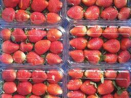 Клубника свежая Египет