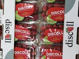 Клубника свежая Египет