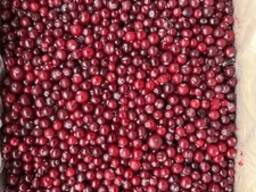 Клюква замороженная дикорастущая