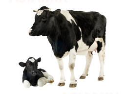 Комбикорм для КРС