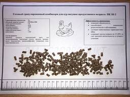 Комбикорм для кур несушек