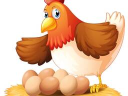 Комбикорм из