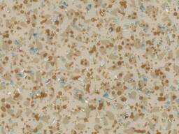 Коммерческий гетерогенный линолеум Acczent Mineral AS - 1000 1
