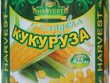 Консервированная Кукуруза - фото 1