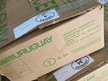 Конские кишки / черева конина Уругвай заморозка в коробках - фото 3