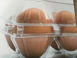 Контейнер для яиц из пластика - фото 3