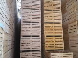 Контейнерное хранение в овощехранилище монтаж проектирование под ключ