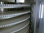 Конвейер спиральный для заморозки продуктов и полуфабрикатов - photo 2
