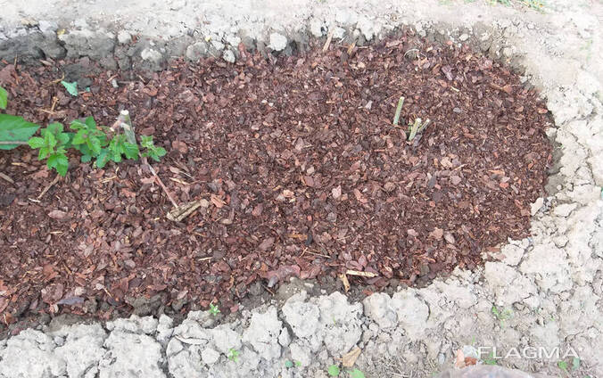 хвойный гумус. осоковый торф. хвойный компост. хвойный гумус. гумус коры.