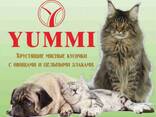 Сухие корма для кошек и собак. - photo 1