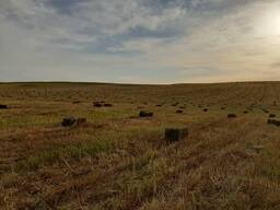 Корм - разнотравье