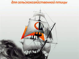 Кормовая добавка для сельскохозяйственной птицы “ФидПауэр”