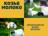 Козье молоко Ешкі сүті козье творог - photo 1