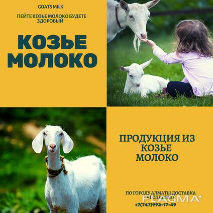 Козье молоко Ешкі сүті козье творог