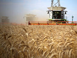 Крестьянское хозяйство