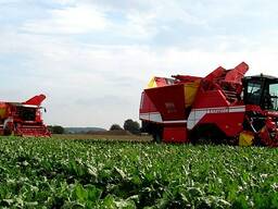 Крестьянское хозяйство Бирсуатский с/о, Аршалинский район