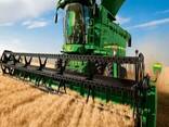 Продажа зернового хозяйства - фото 2