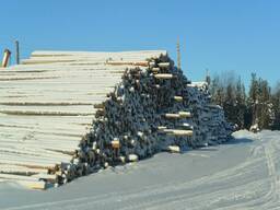 Кругляк и доска