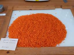 Крупа, Чечевица красная, Футбол