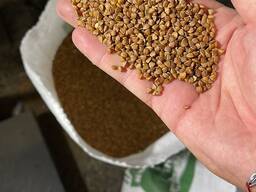 Крупа гречневая