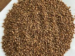 Крупа гречневая