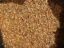 Крупа гречневая