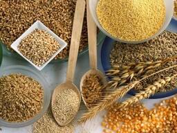 Крупа Перловая фасовка 0,8 кг, 2 кг, 5 кг, 25 кг - оптом