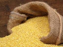 Крупа пшено Гост первый сорт мешок 50кг