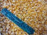 Кукуруза сладкая (зерно, качан) - photo 6