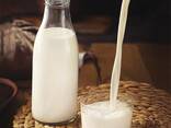 ЧИСТЫЙ, Мягкий Кымыз. Доставка Кумыс и Саумал от производителей. Алматы - фото 2