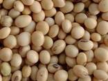 Купим Бобовые - фото 1