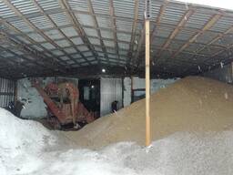 Купим отходы льна, подсолнечника, рапса (масличных)