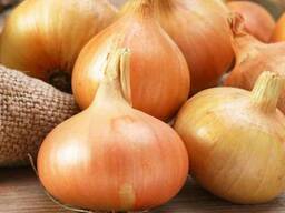 Купим овощи в больших количествах от производителя!