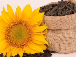 Купим подсолнечное масло для комбикормов