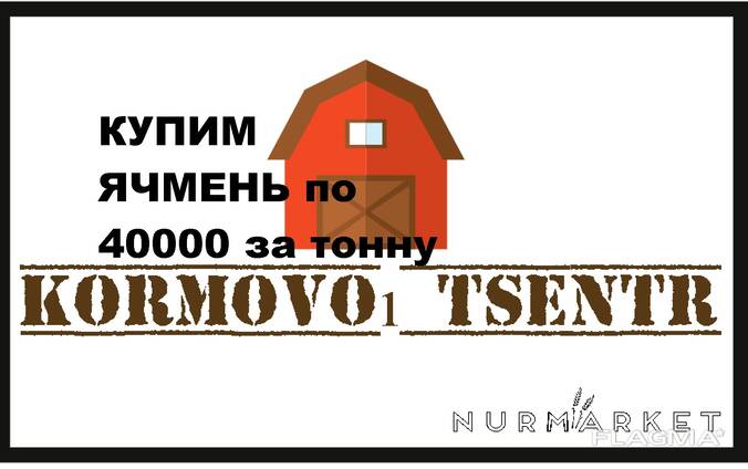 Купим пшеницу 4 класса