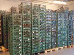 Куплю пластиковые Ящики поддоны стулья