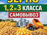 Куплю зерно 1,2 и 3 класса - фото 1