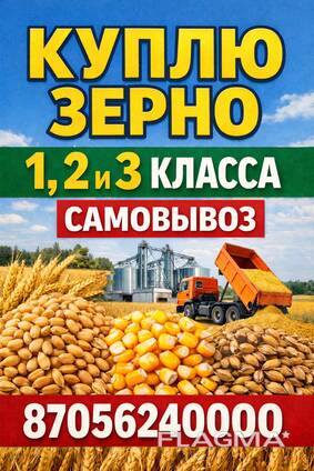 Куплю зерно 1,2 и 3 класса