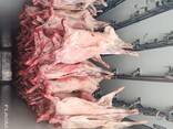 Куриная разделка от производителя - фото 2