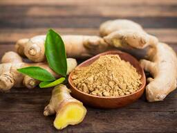 Имбирь ( оптом)