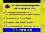 Курсы обучения - фото 3